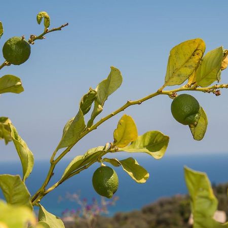 Villa Annetta Poggi Εξωτερικό φωτογραφία