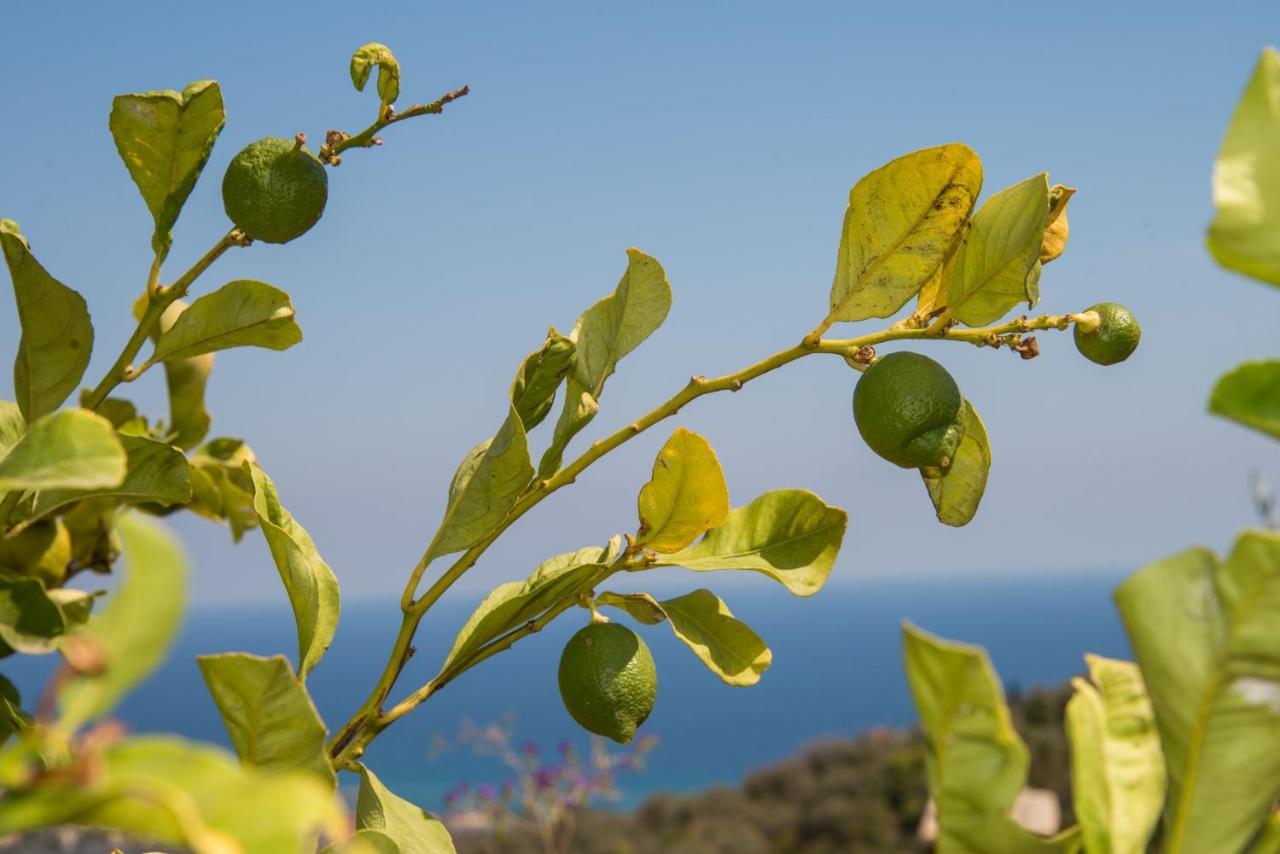 Villa Annetta Poggi Εξωτερικό φωτογραφία